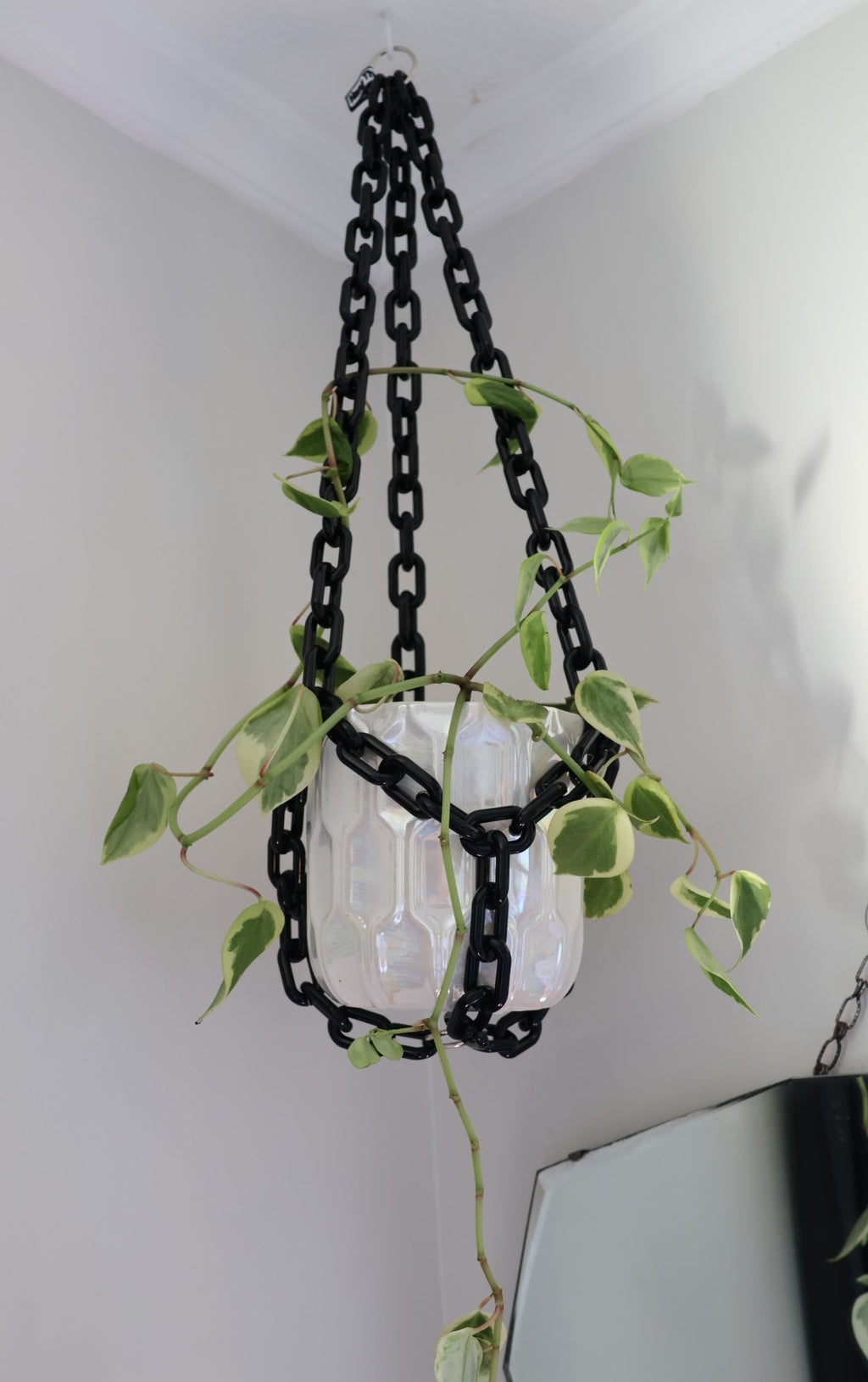 Jett Black plant hanger