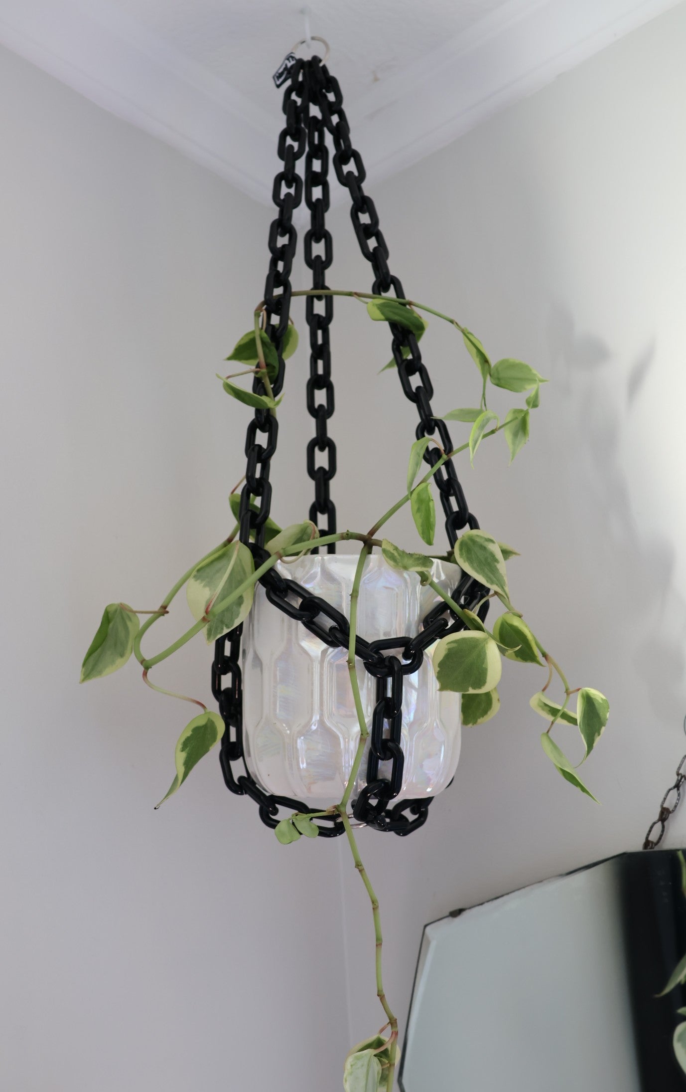 Jett Black plant hanger