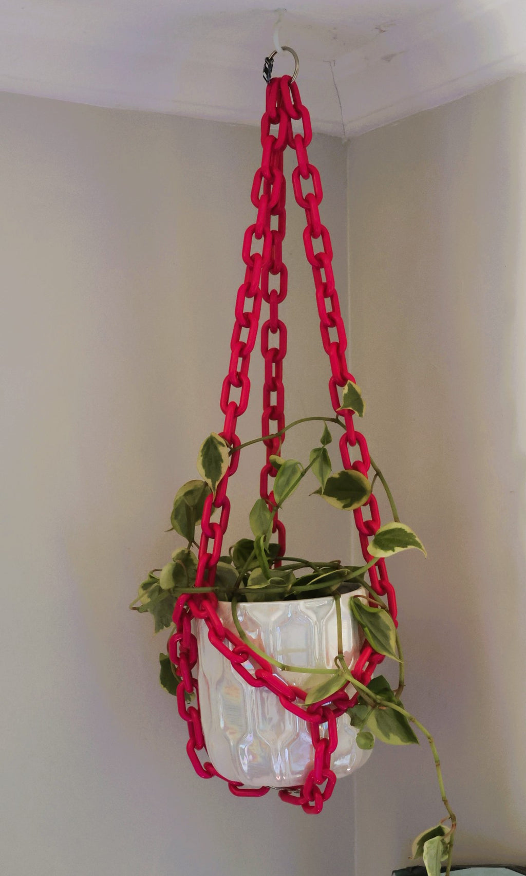 Hot Pink plant chain hanger