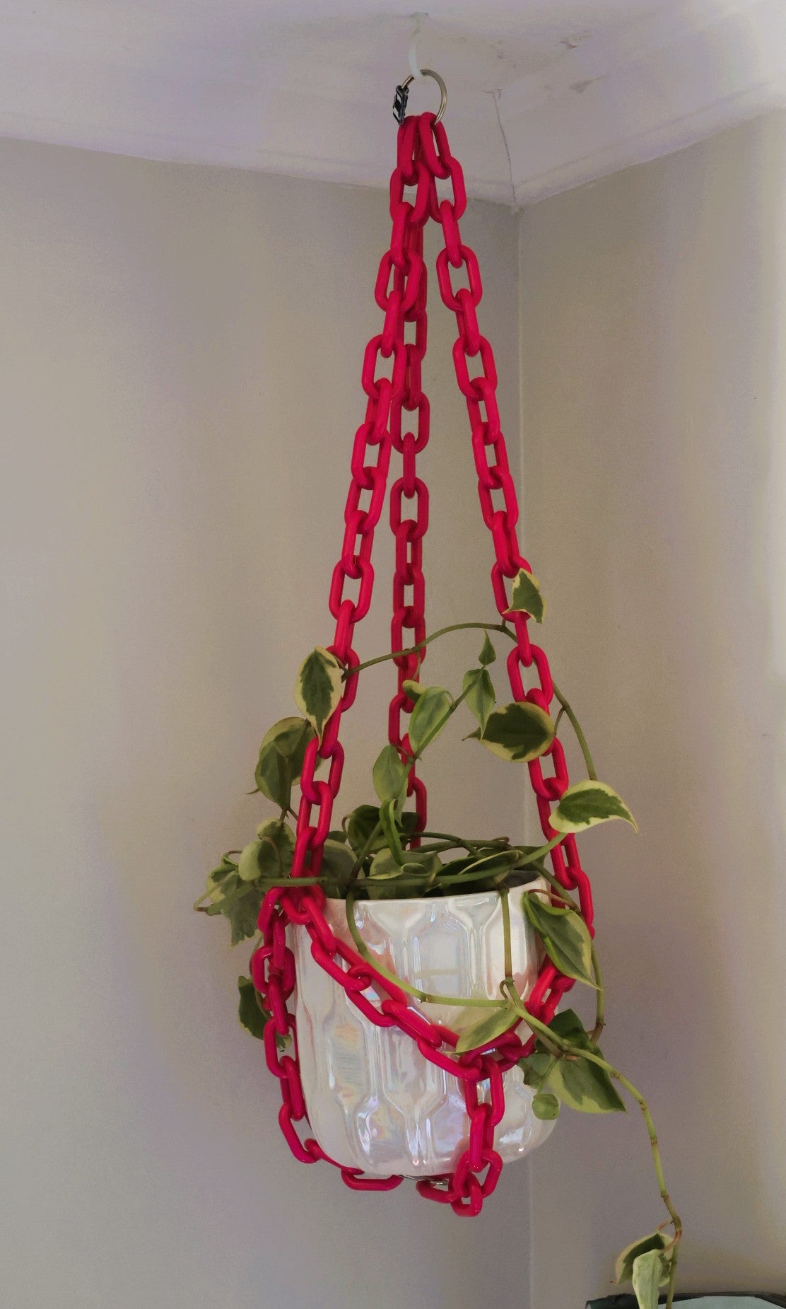 Hot Pink plant chain hanger