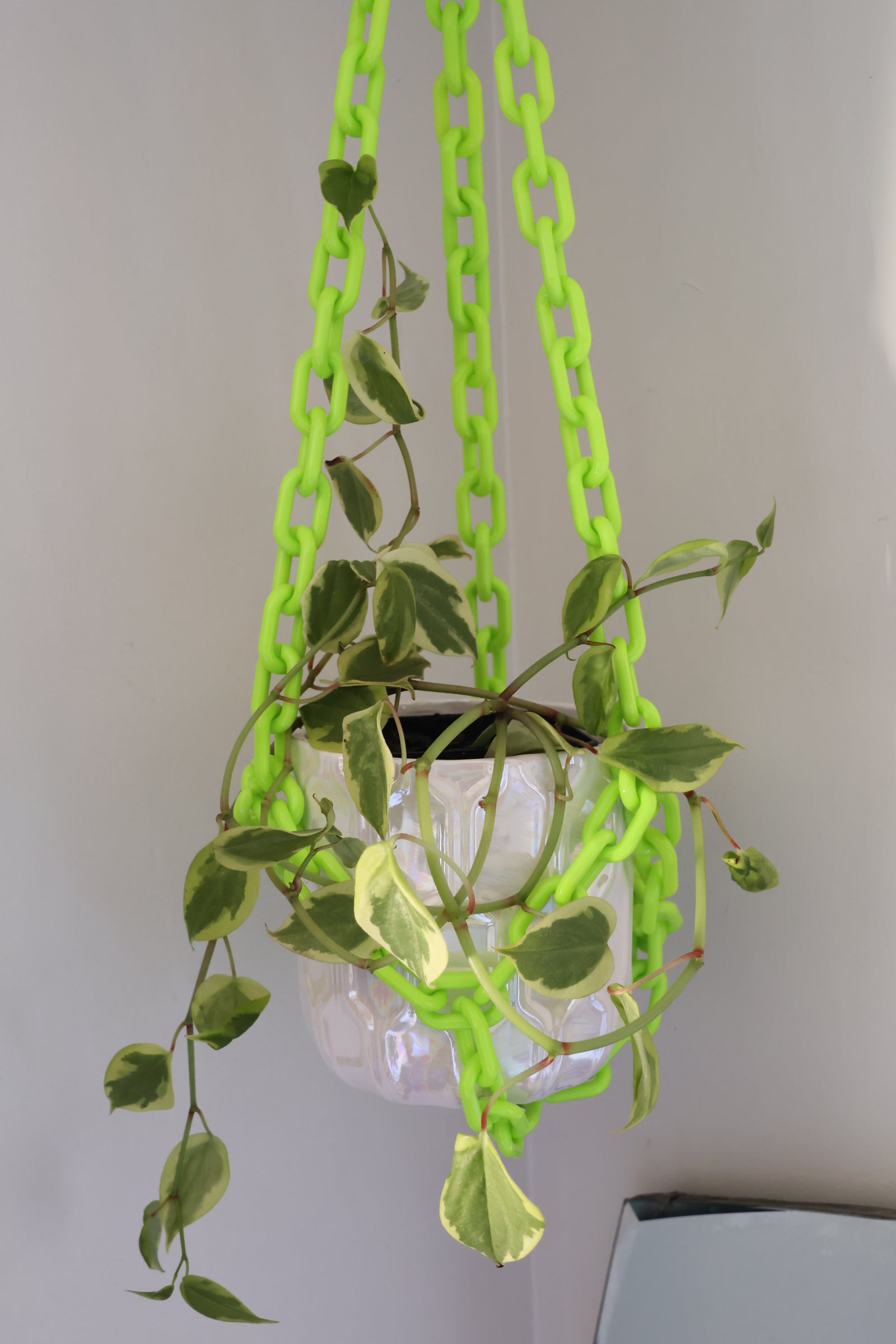 Lime Green plant chain hanger